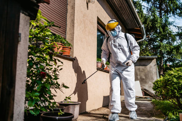 Best Affordable Pest Control Services  in Rushford, MN