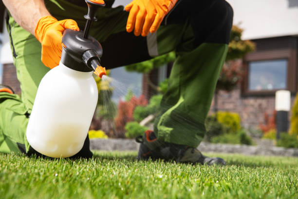 Best Pest Control for Businesses  in Rushford, MN