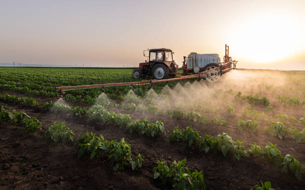 Reliable Rushford, MN Pest Control Solutions