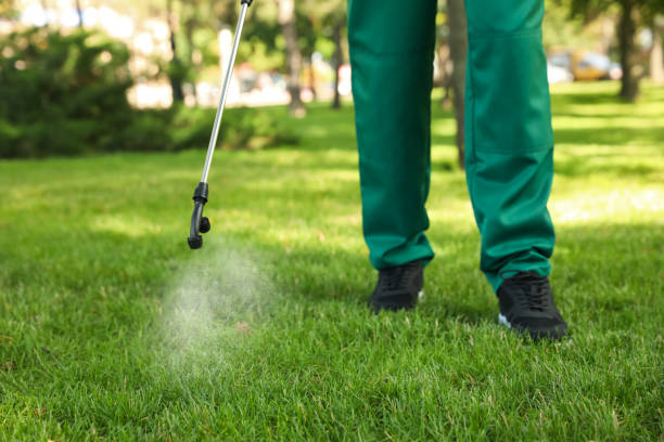 Best Local Pest Control Services  in Rushford, MN