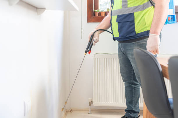 Best Rat Extermination Near Me  in Rushford, MN