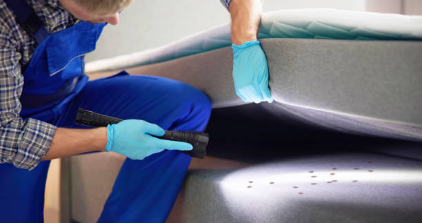 Best Best Pest Control Companies  in Rushford, MN