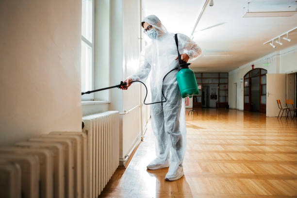 Best Affordable Pest Control Services  in Rushford, MN
